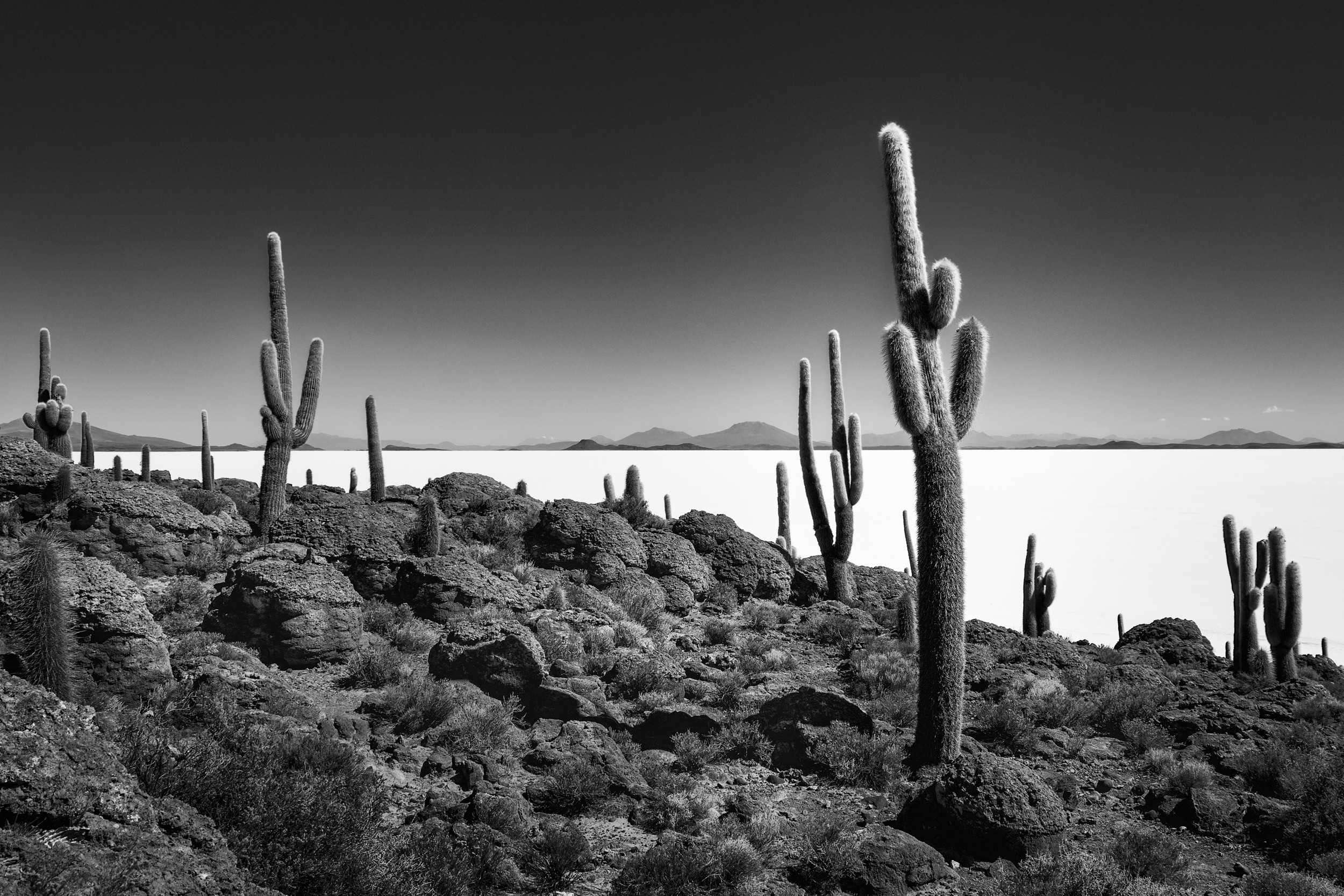 Tall cacti rise from rocky ground above the white expanse of the Uyuni salt flats, rendered in black and white