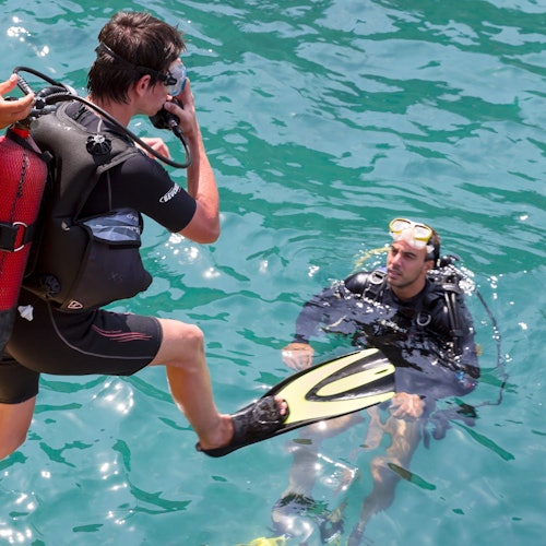 Alanya: Sukellusretki lounaan kanssa liput Alanyassa