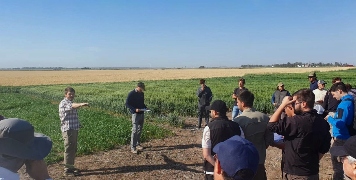 person holding red chili plant