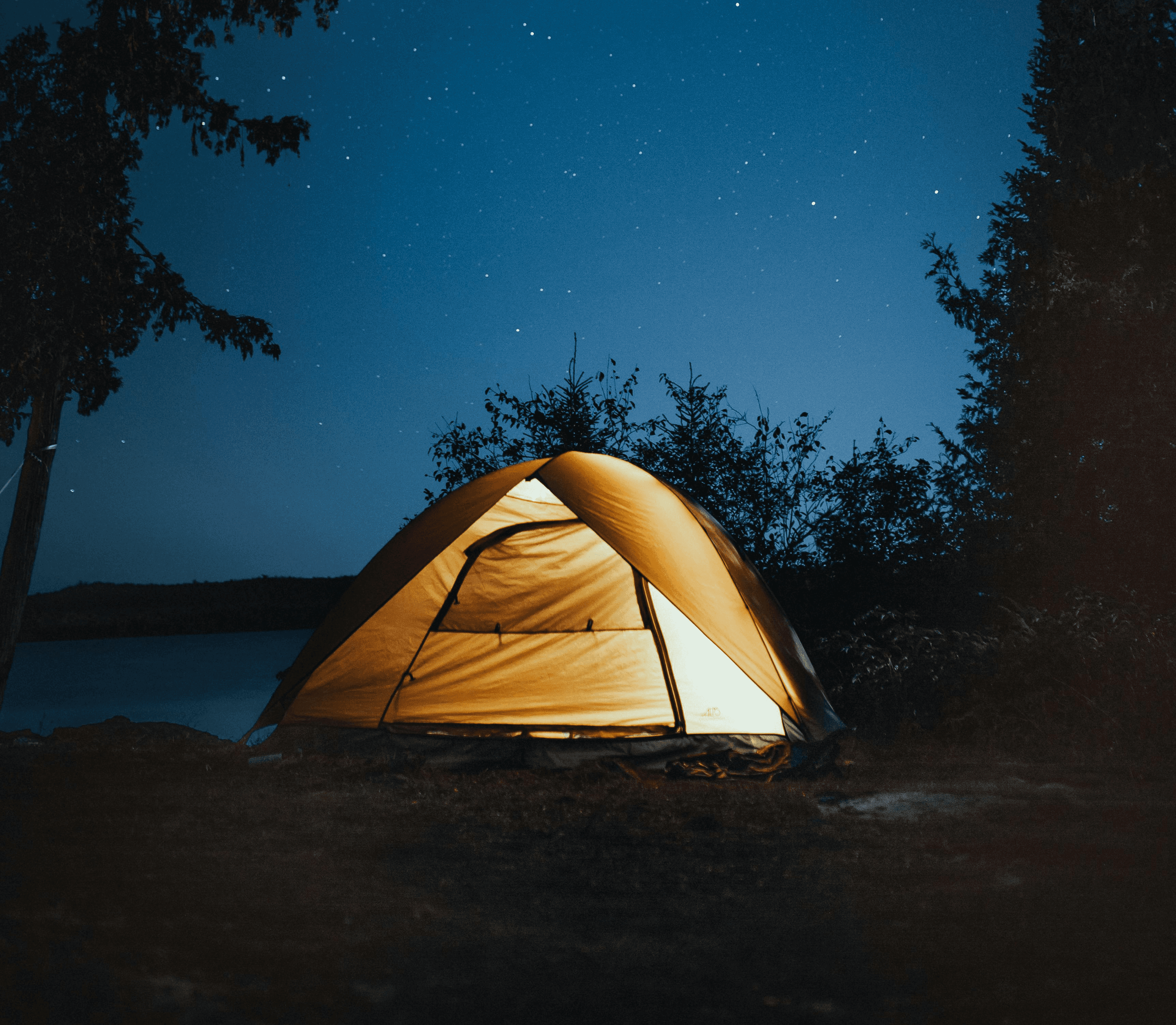 Dynamic picture of a cyclist riding downhill