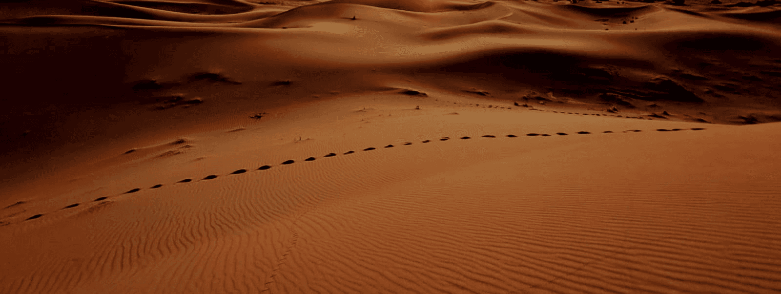 Morroco Sand Dunes