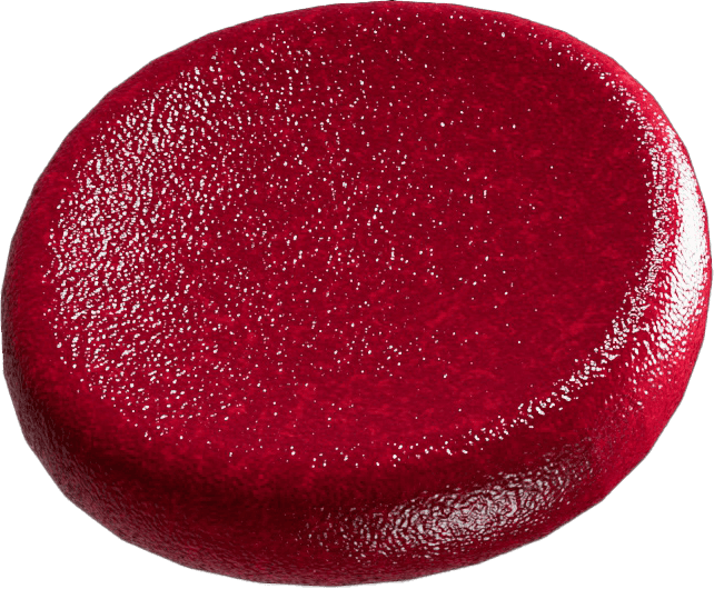 blood cell