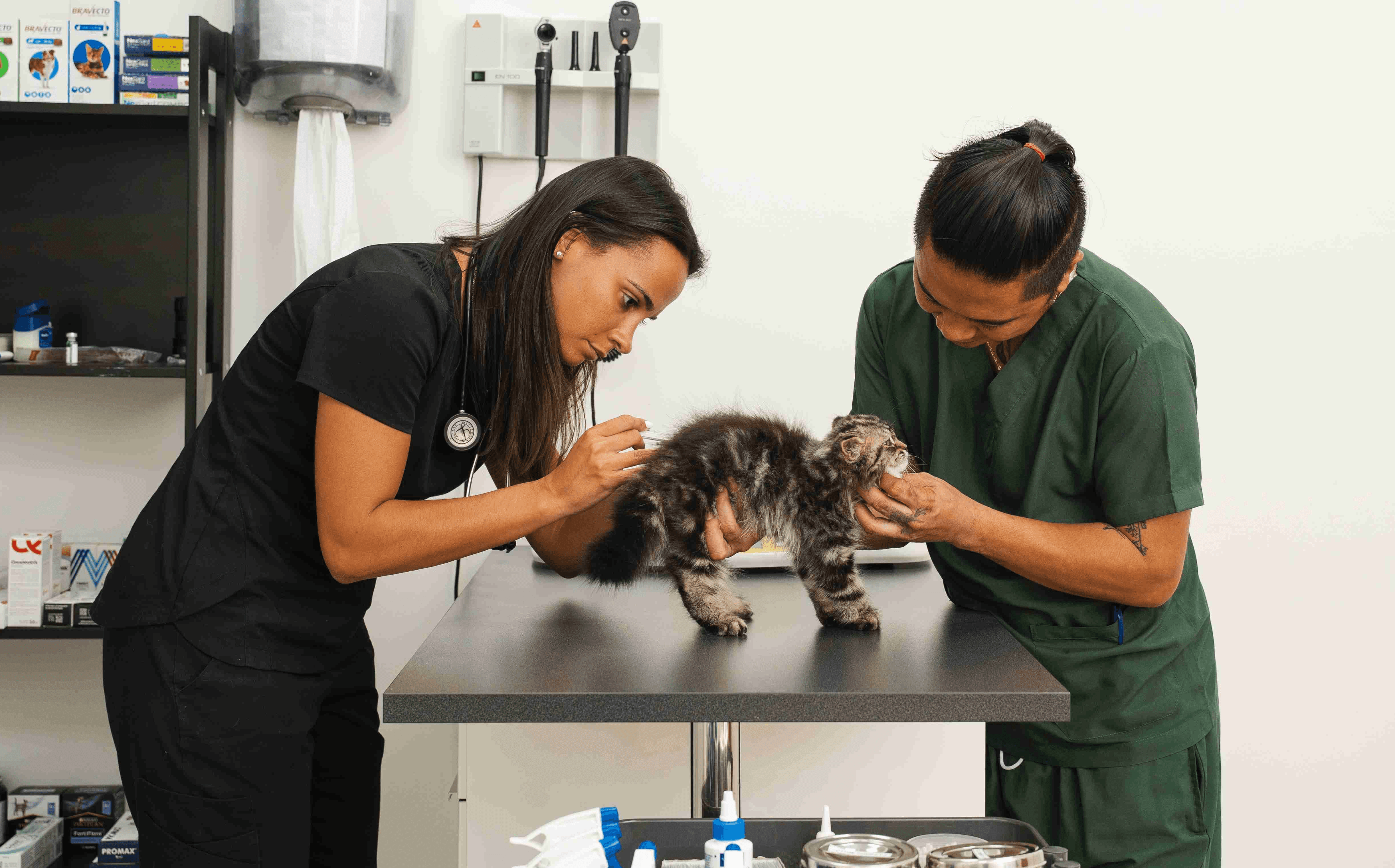 A veterinarian in a clinic examines a small, fluffy brown dog on a table before administering a vaccination while smiling warmly. An assistant holds the dog gently, creating a calm atmosphere.