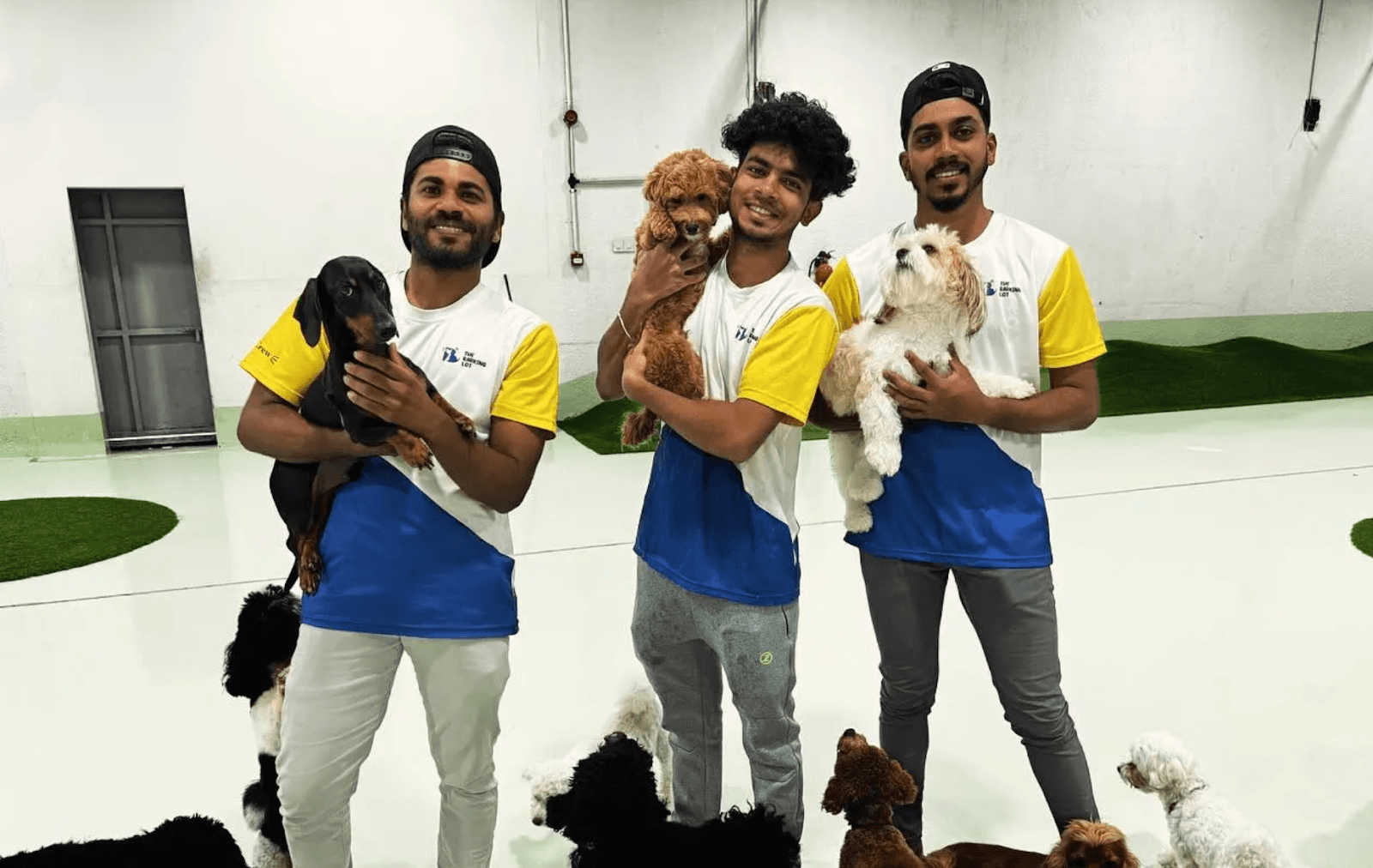 Happy dogs in boarding without dog anxiety