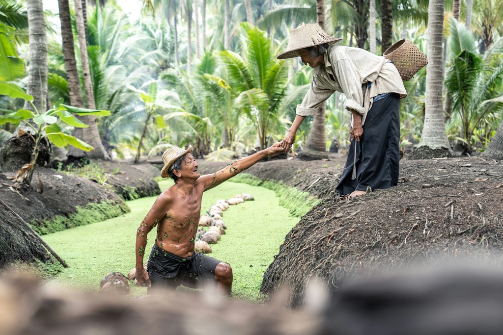 An elderly couple works together in a lush tropical setting, with the woman helping the man out of a mud-filled ditch, illustrating cooperation and resilience in traditional agricultural life.