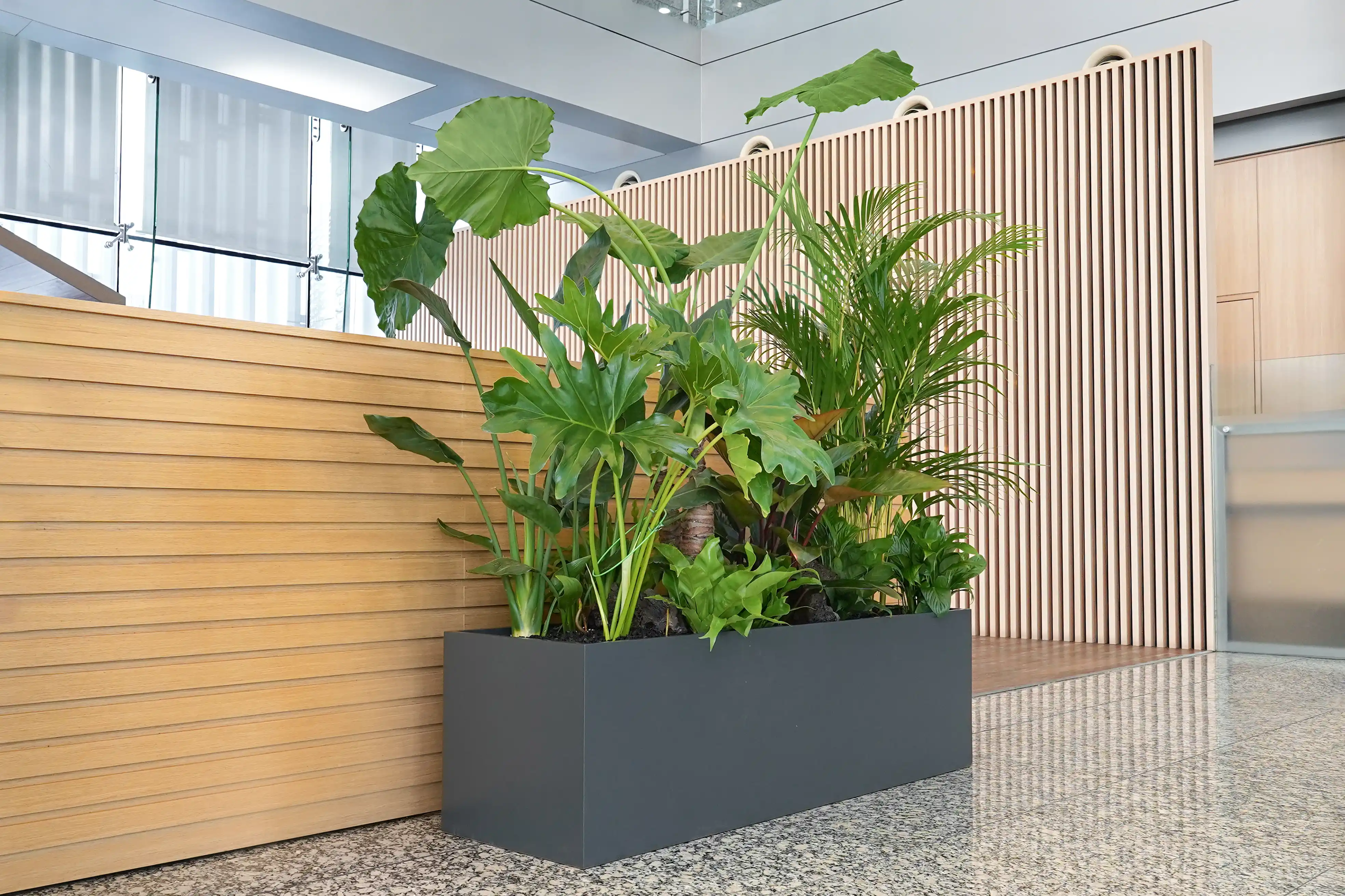 회사 로비에 설치된 플랜트박스 디자인