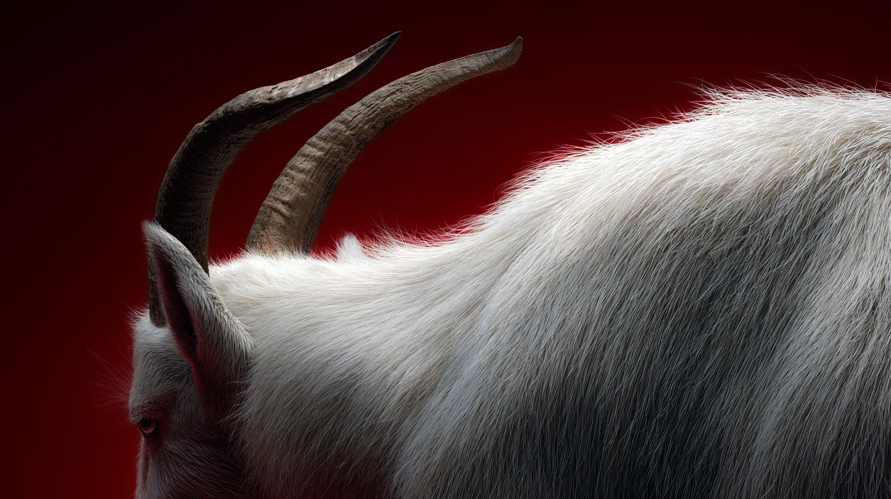 Shinta streetwear brand logo featuring a white archer on a textured surface thumbnail