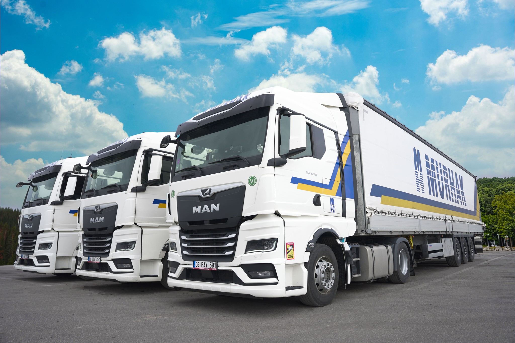 Mobile alert notification