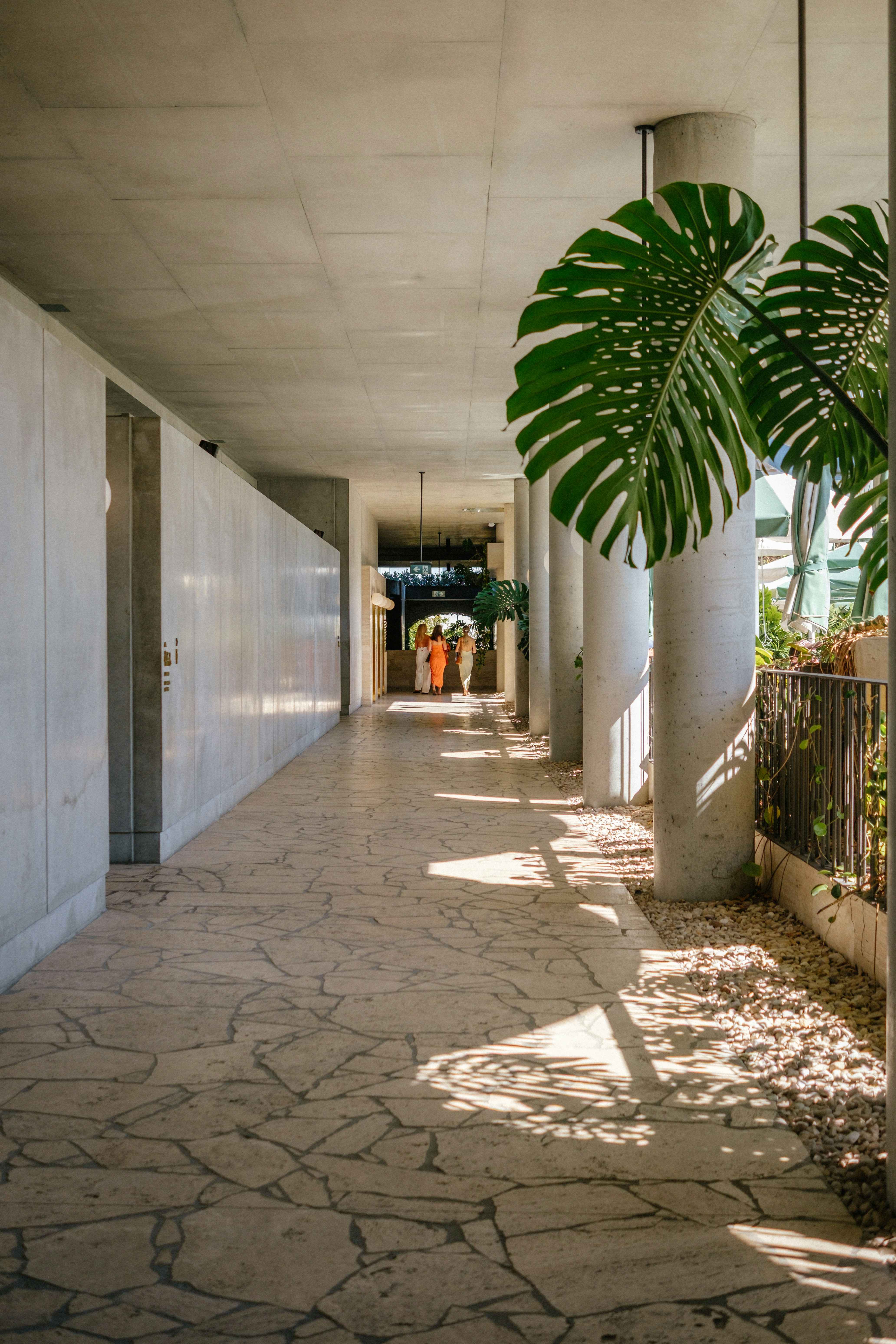 People walking down a sunlit modern hallway with plants.