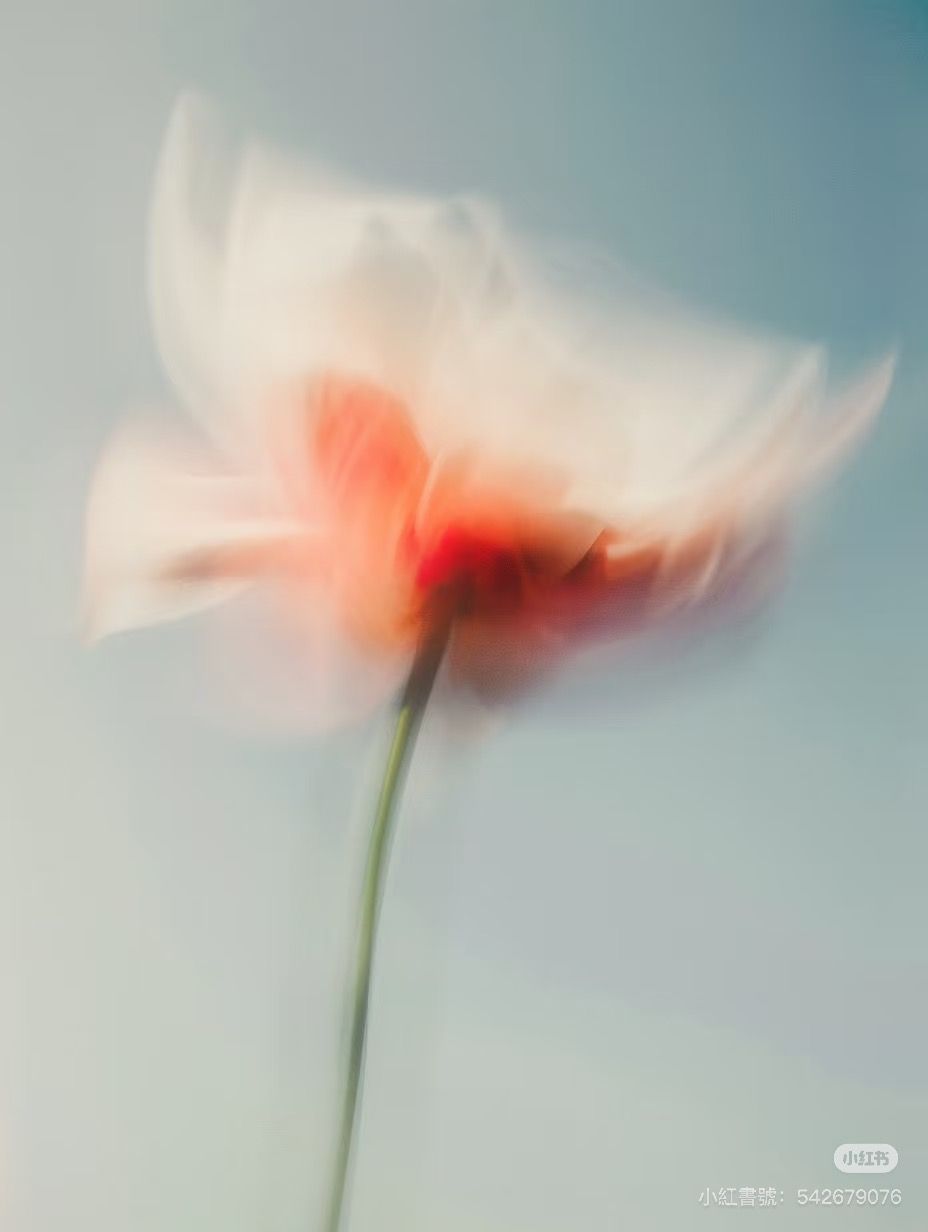 About Image