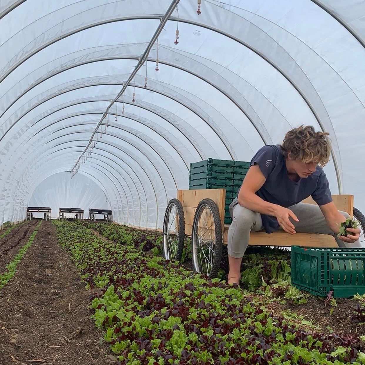 Huntsville Food & Farm Hub photo 5