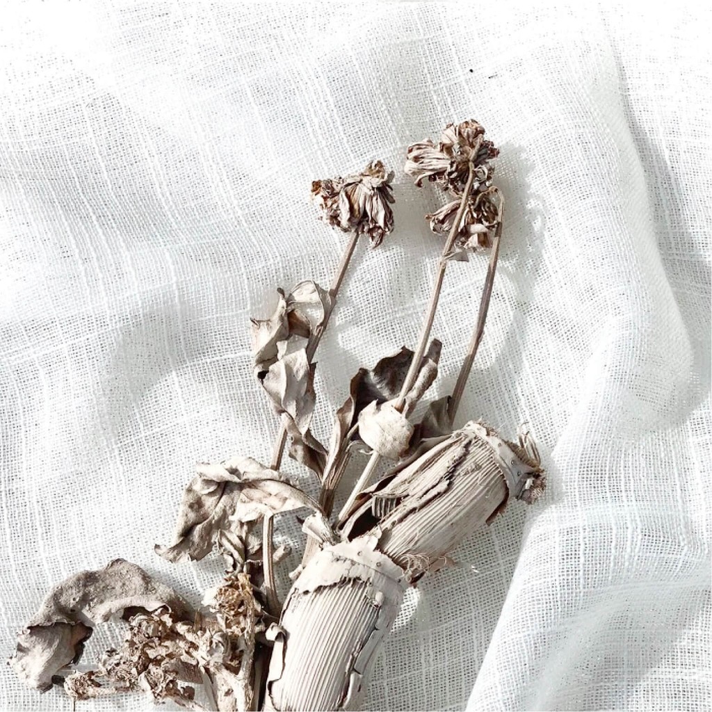 Cream-toned dried bouquet blending soft petals and driftwood, expressing quiet natural elegance