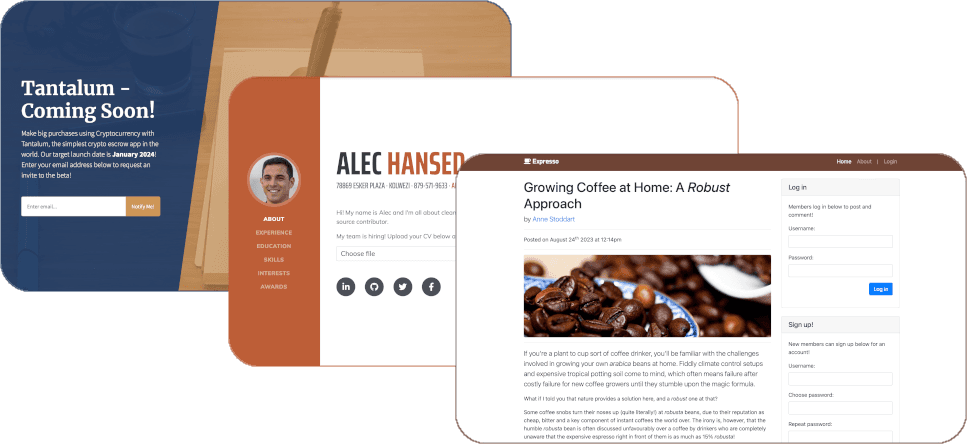 Screenshots of the 3 vulnerable web applications we used as part of the session.