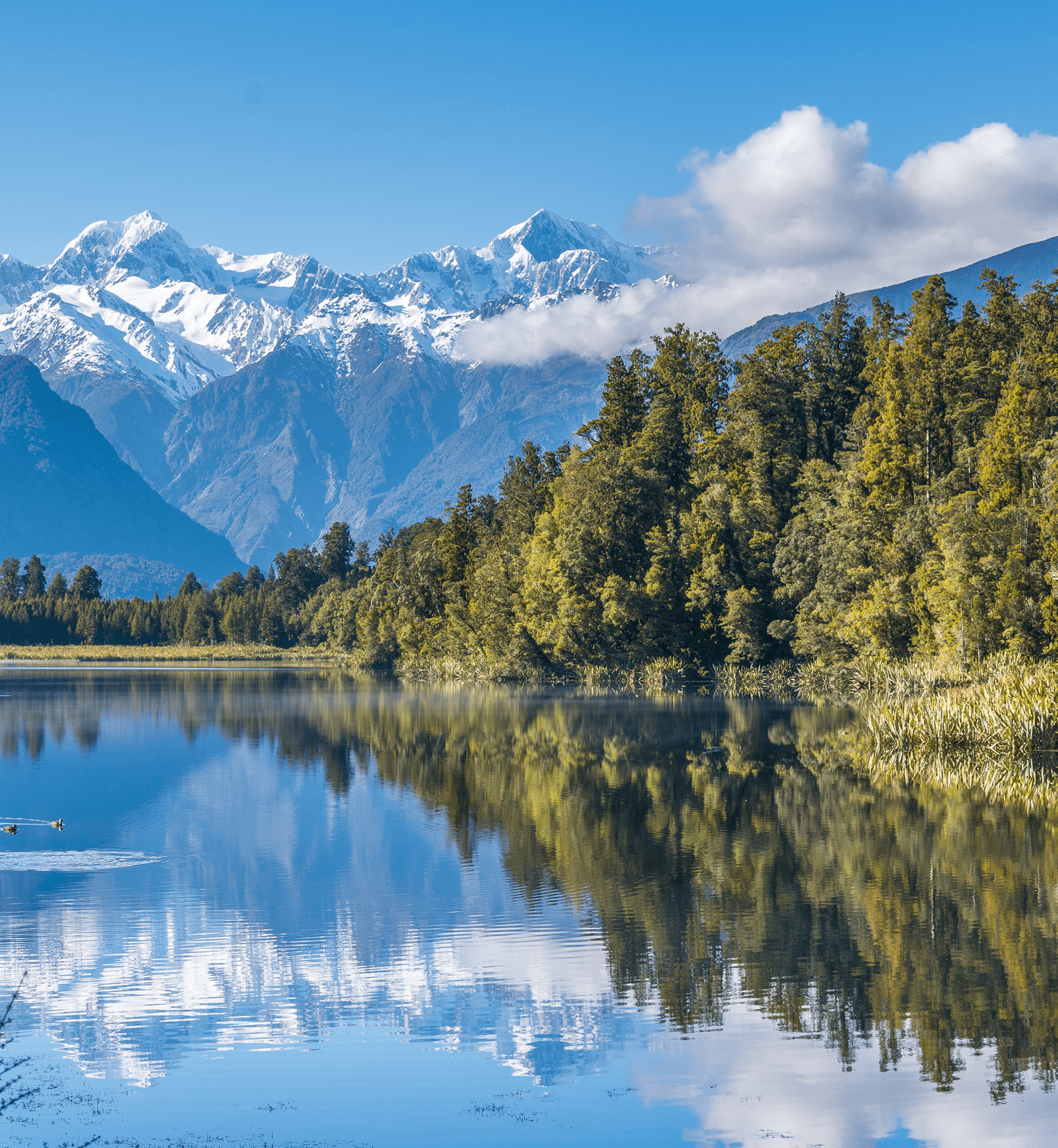T-5.1 Snowy mountains and forest reflected in a calm blue lake.