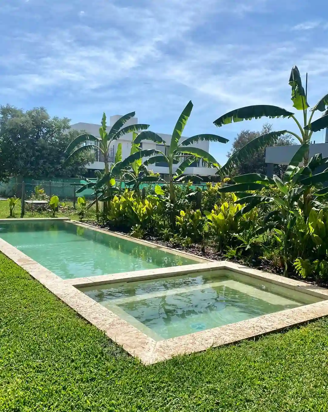 Pileta de hormigón con sector de hidromasaje en primer plano, rodeada de césped y grandes plantas de hojas tropicales con una casa de fondo.