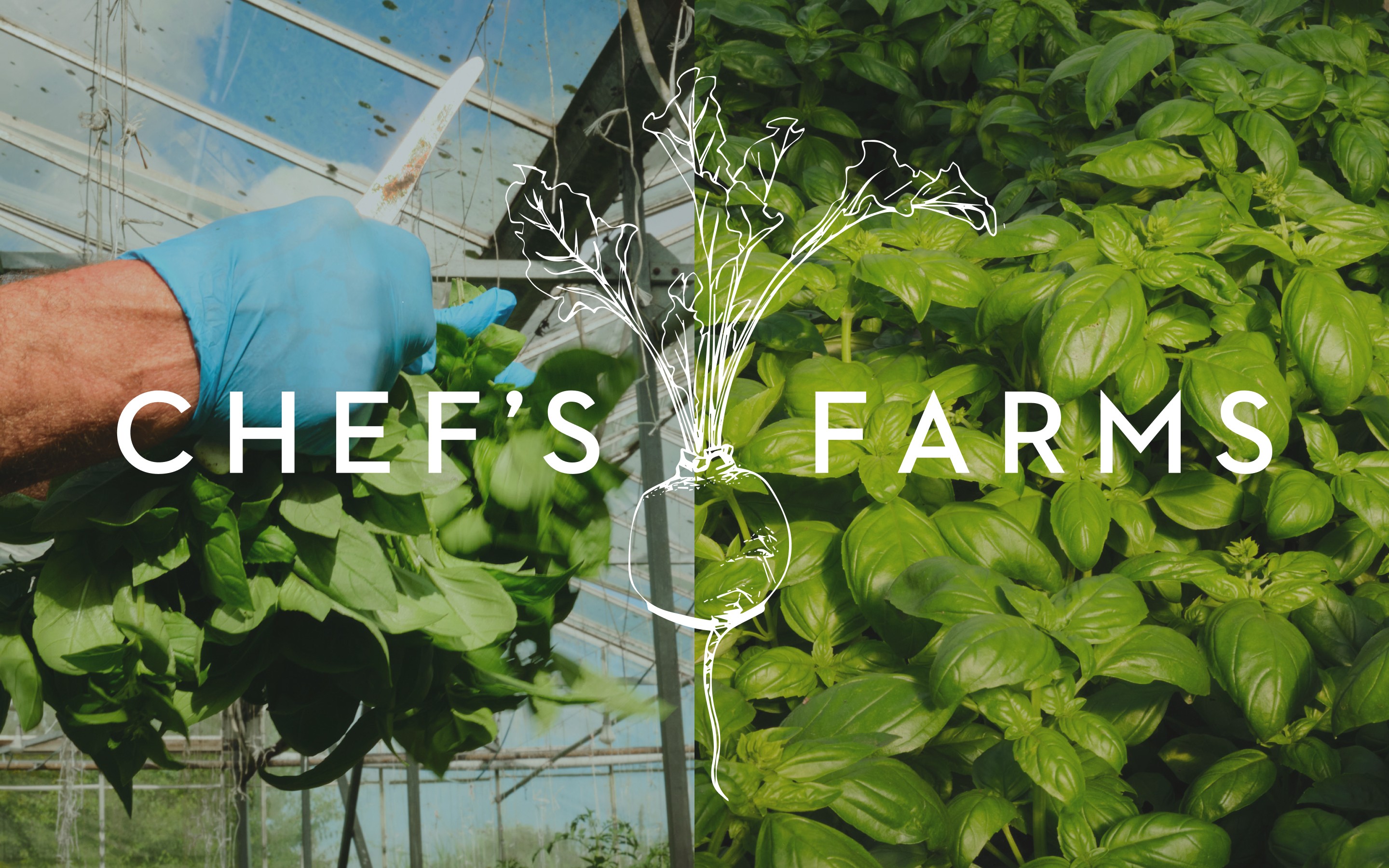 Chef's Farms – GEORGE COSBY STUDIO | Brand Worlds Built At Moments Of Change