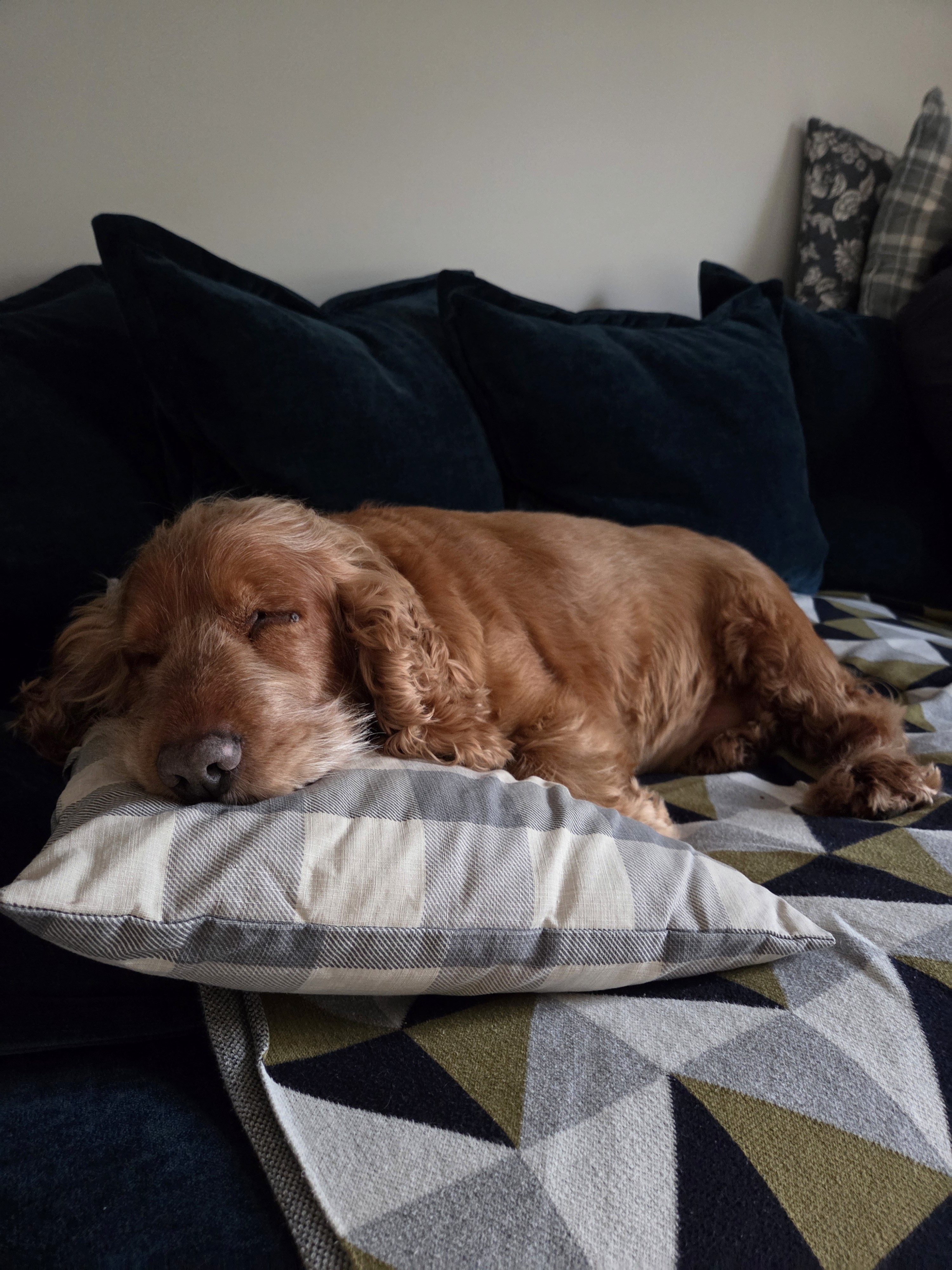 a group of people walking on a sidewalk