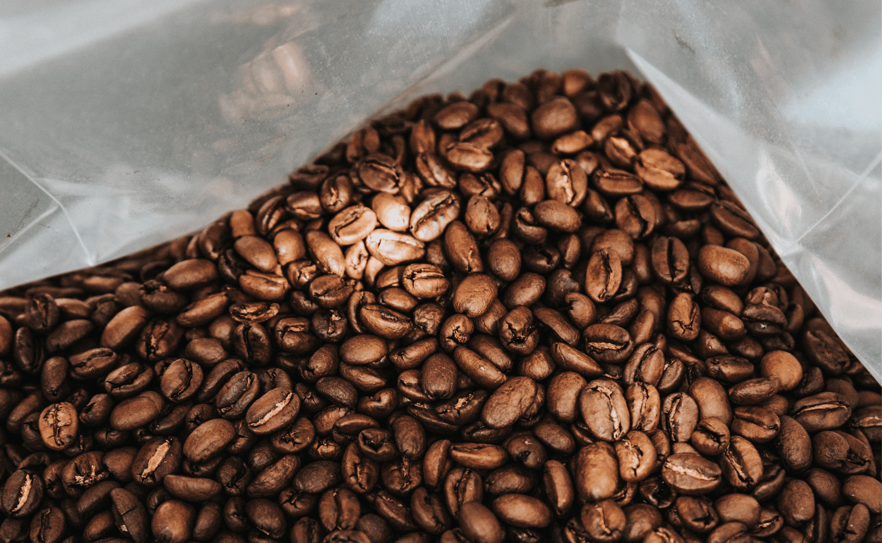 Coffee beans in a bag