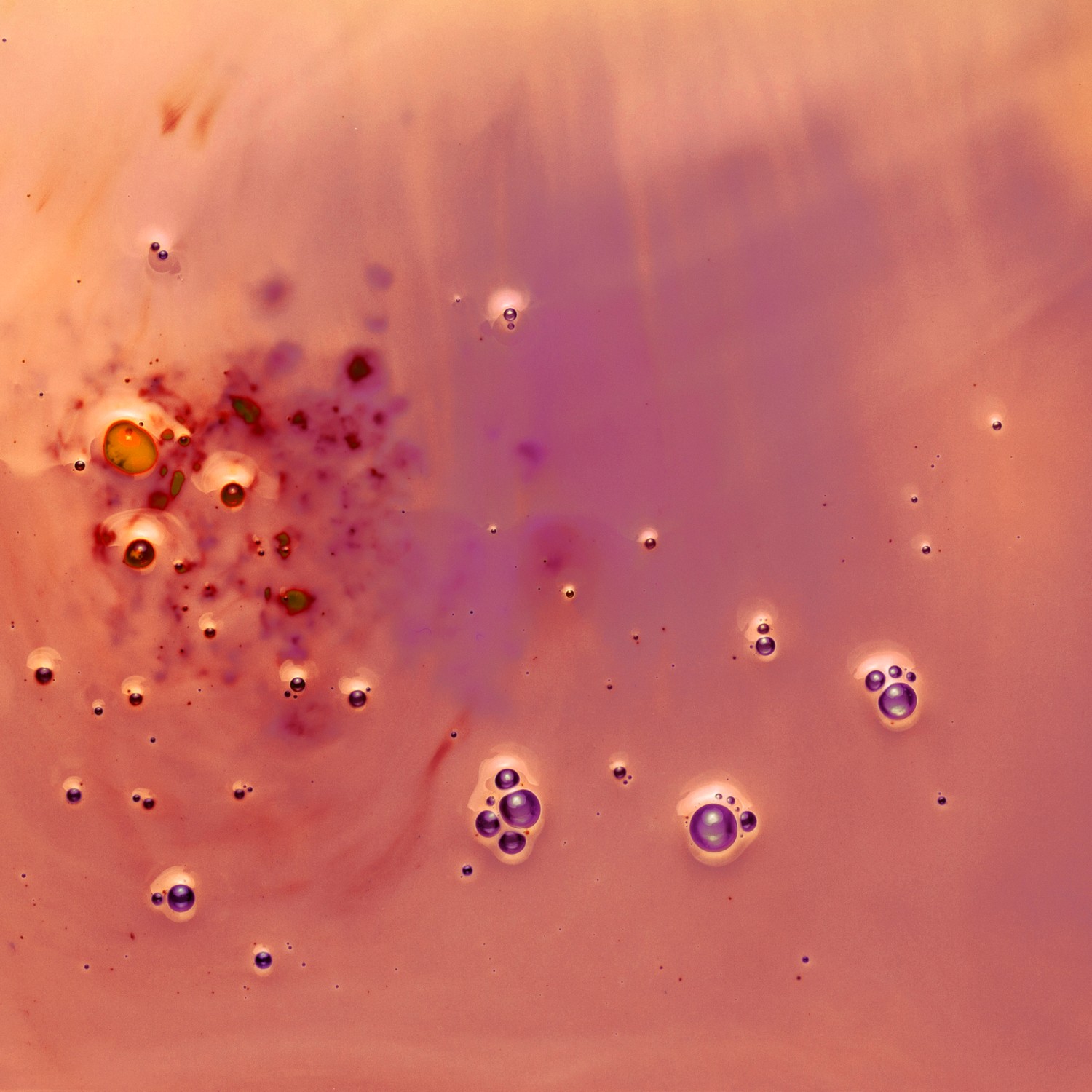 brain fog support hormonal changes support