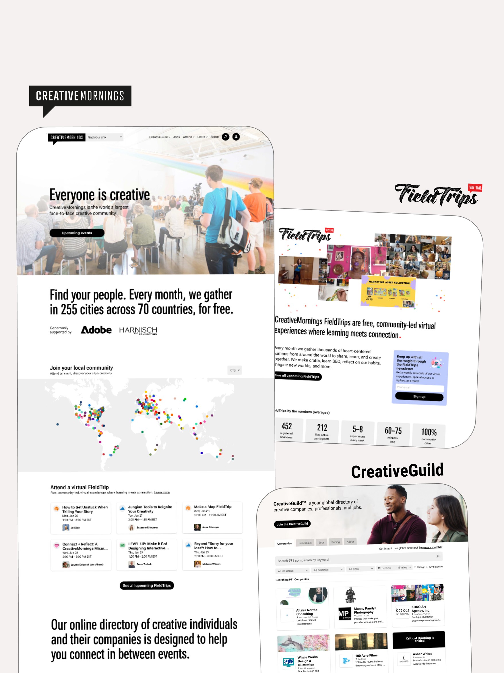 Dom Pérignon vineyards from the sky