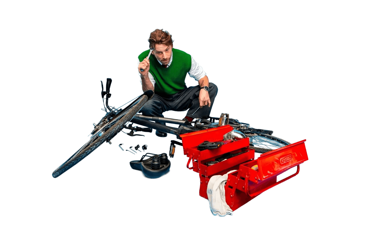 Female-Swapfiets-e-Bike