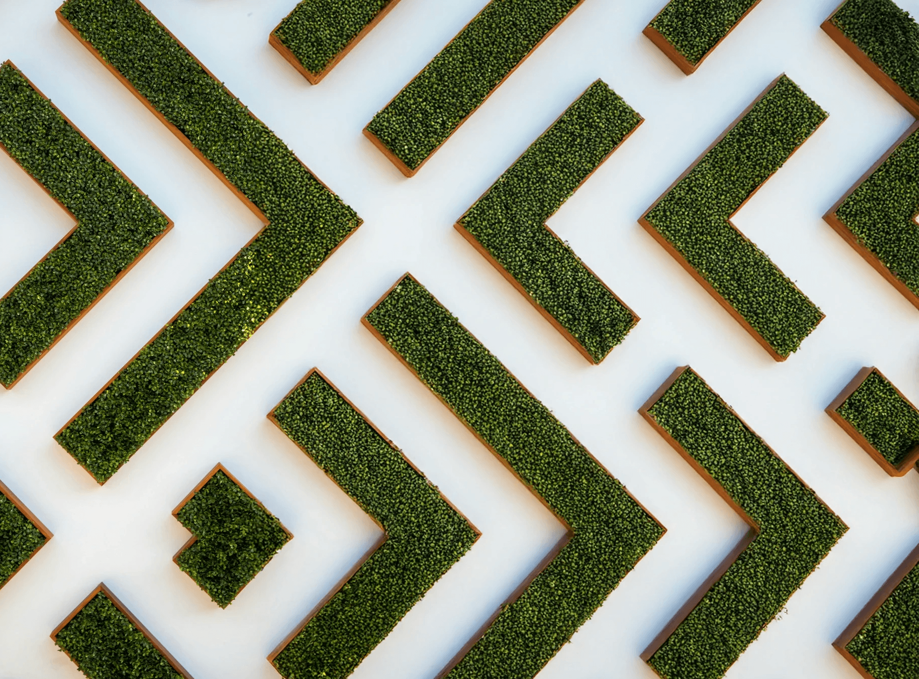 Scientist in laboratorium