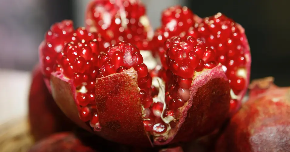 Urolithin A is a compound that promotes mitochondrial health and longevity.