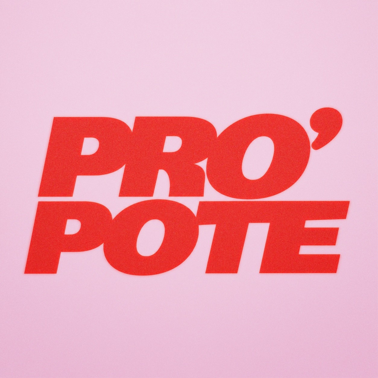 PRO’POTE logo