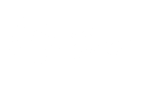 Pfizer Logo