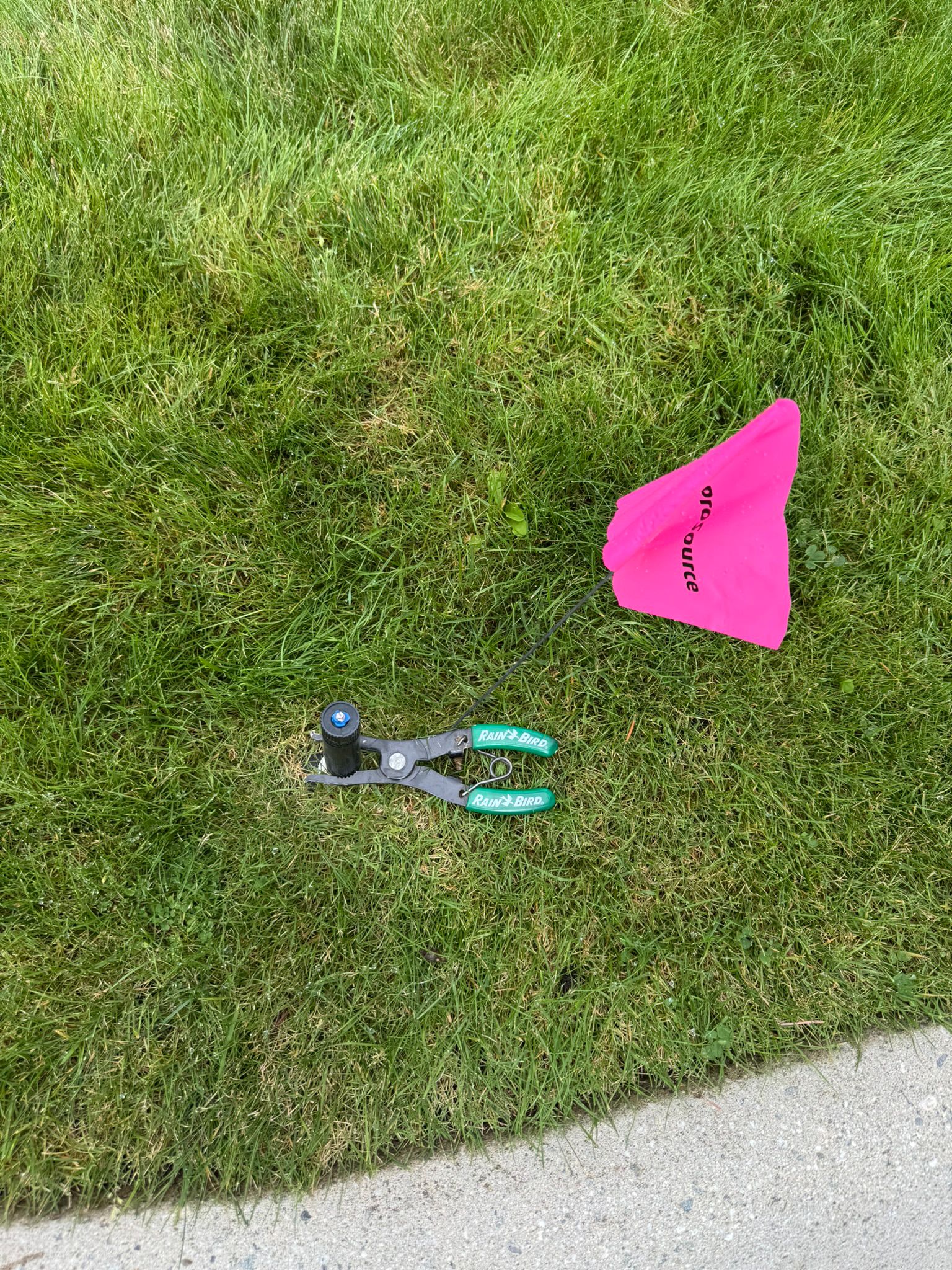 Beautiful landscaped garden with greenery and outdoor design elements.