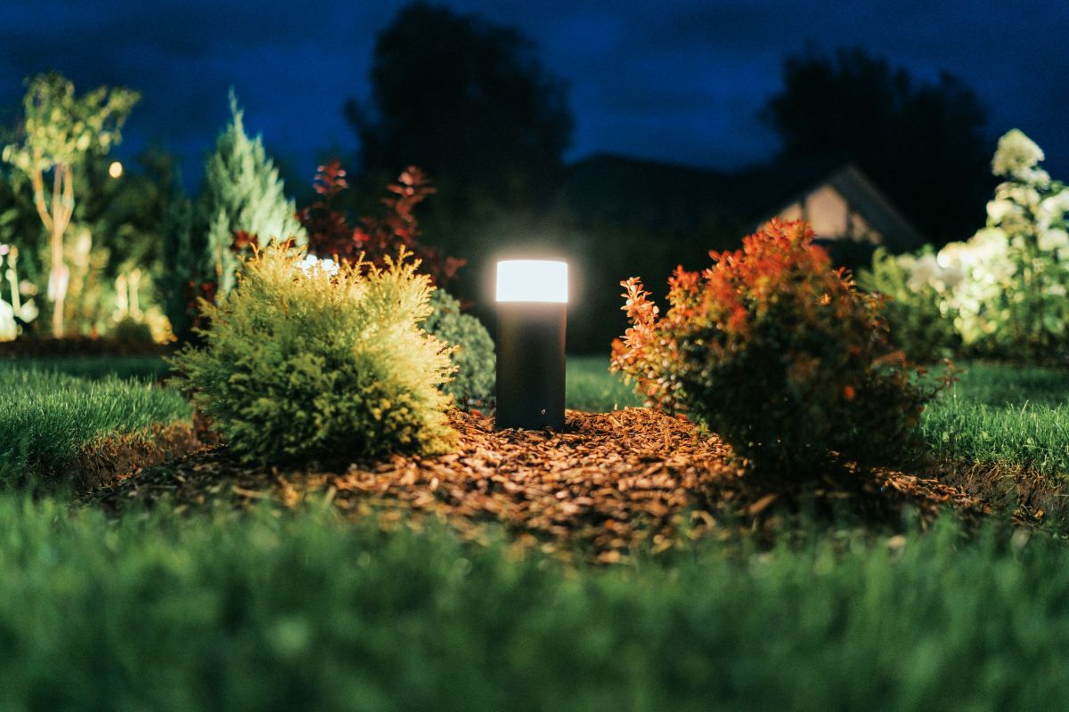 Landscape Light