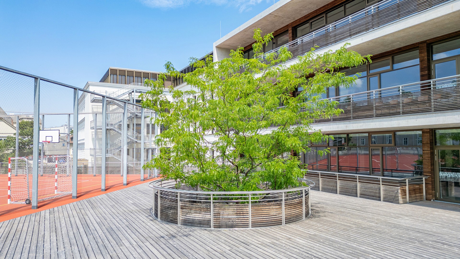 Schulhof mit großem Solitärbaum in rundem Pflanzbeet vor moderner Schularchitektur.