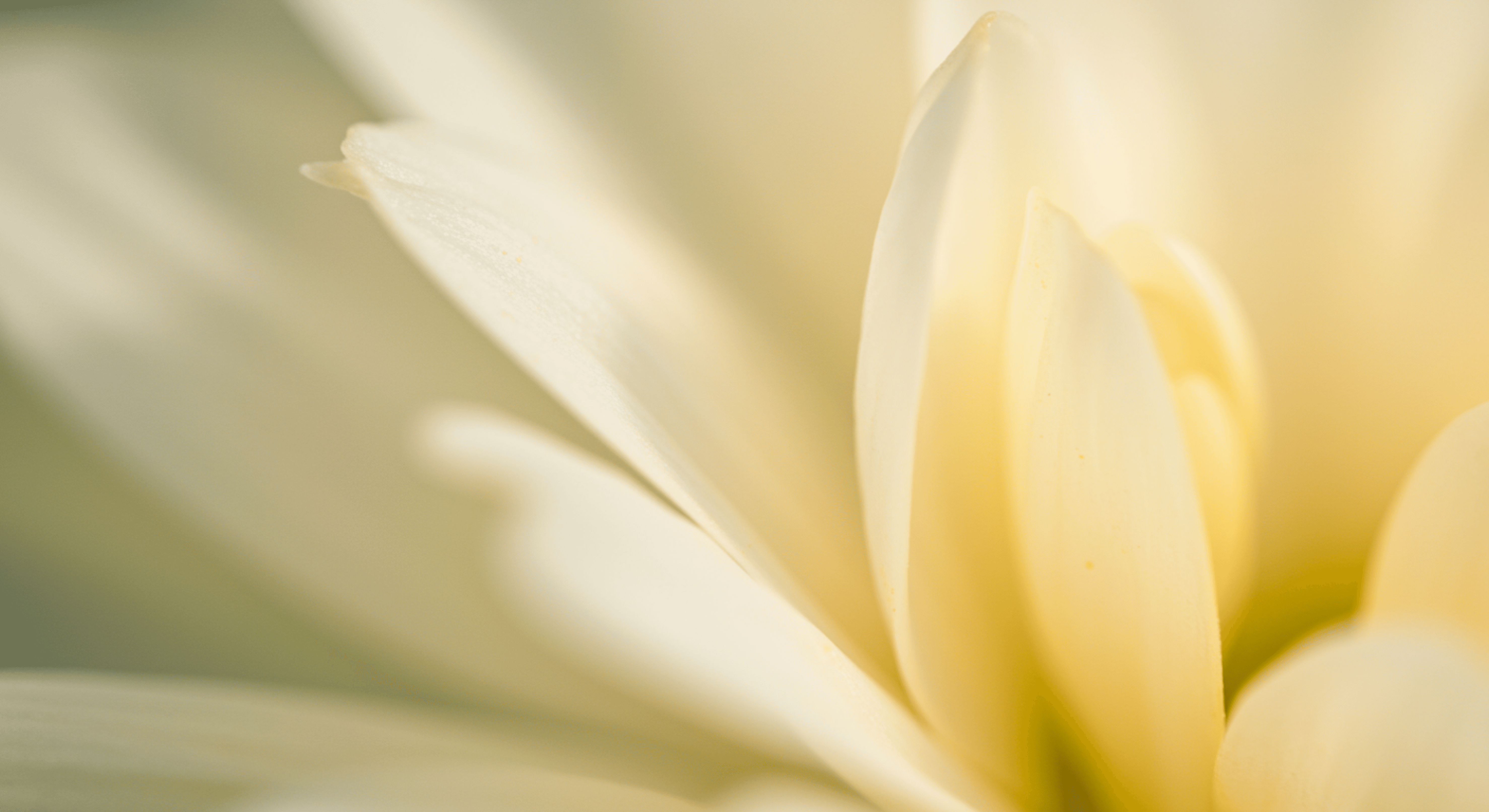 Hero Background Image