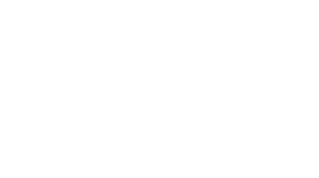 General Levy logo