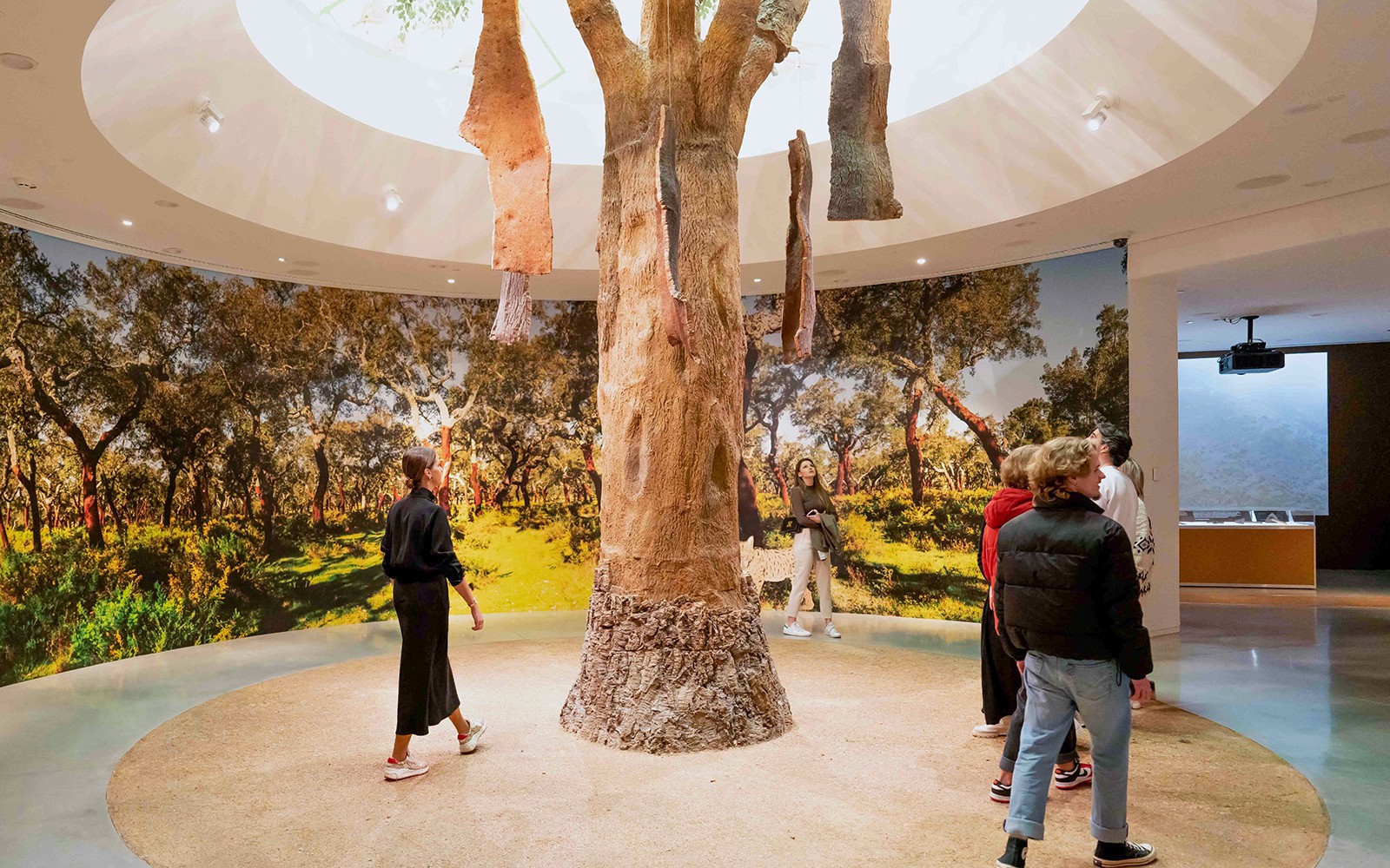 在波尔图的泰勒酒窖参观软木橡树展览的访客。