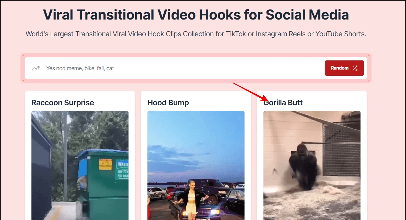 Website offering viral video hook clips - Viral Hooks for Instagram