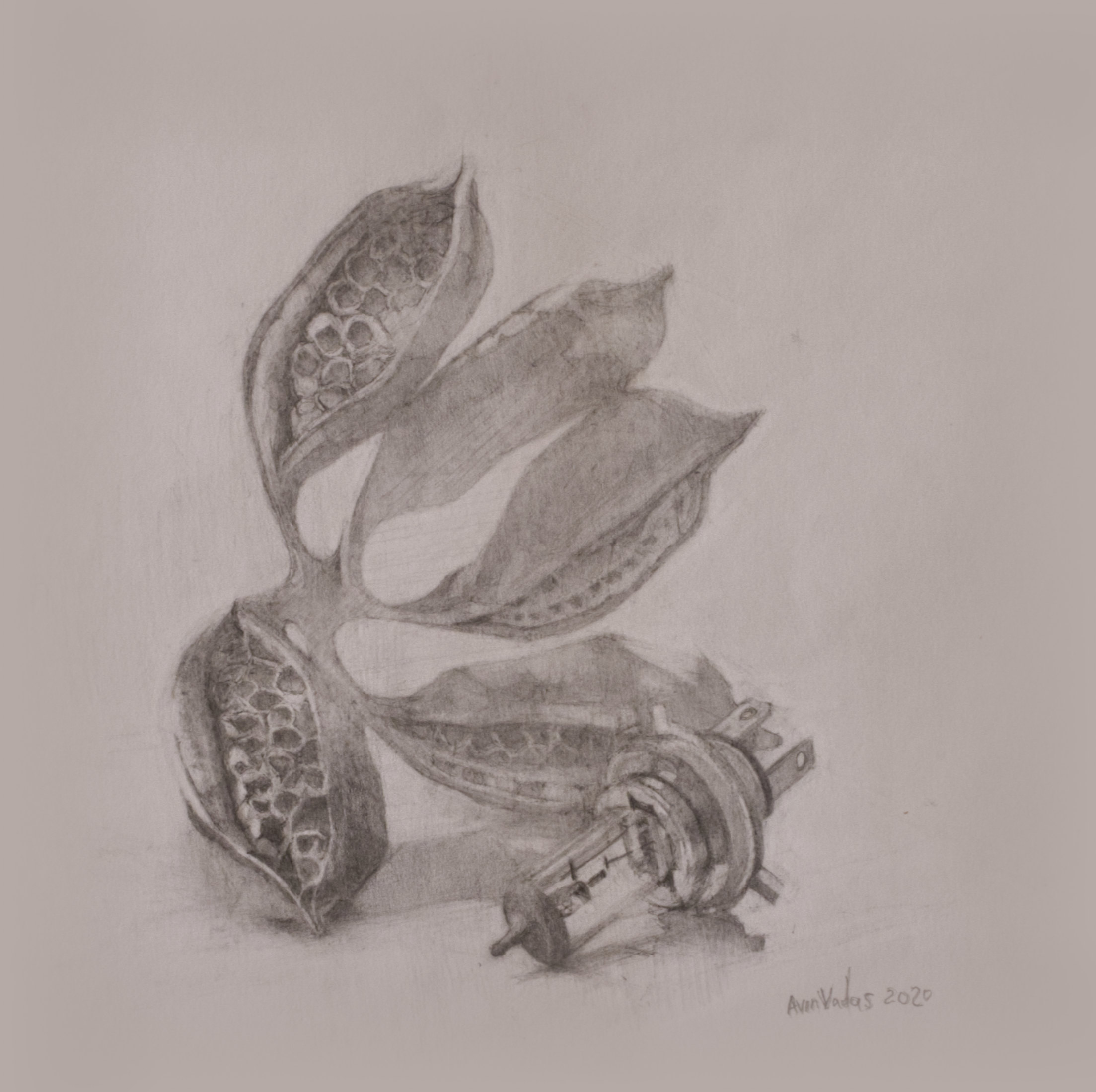 realistic still-life pencil drawing