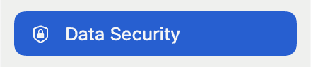 Data Security selected in the Settings sidebar.