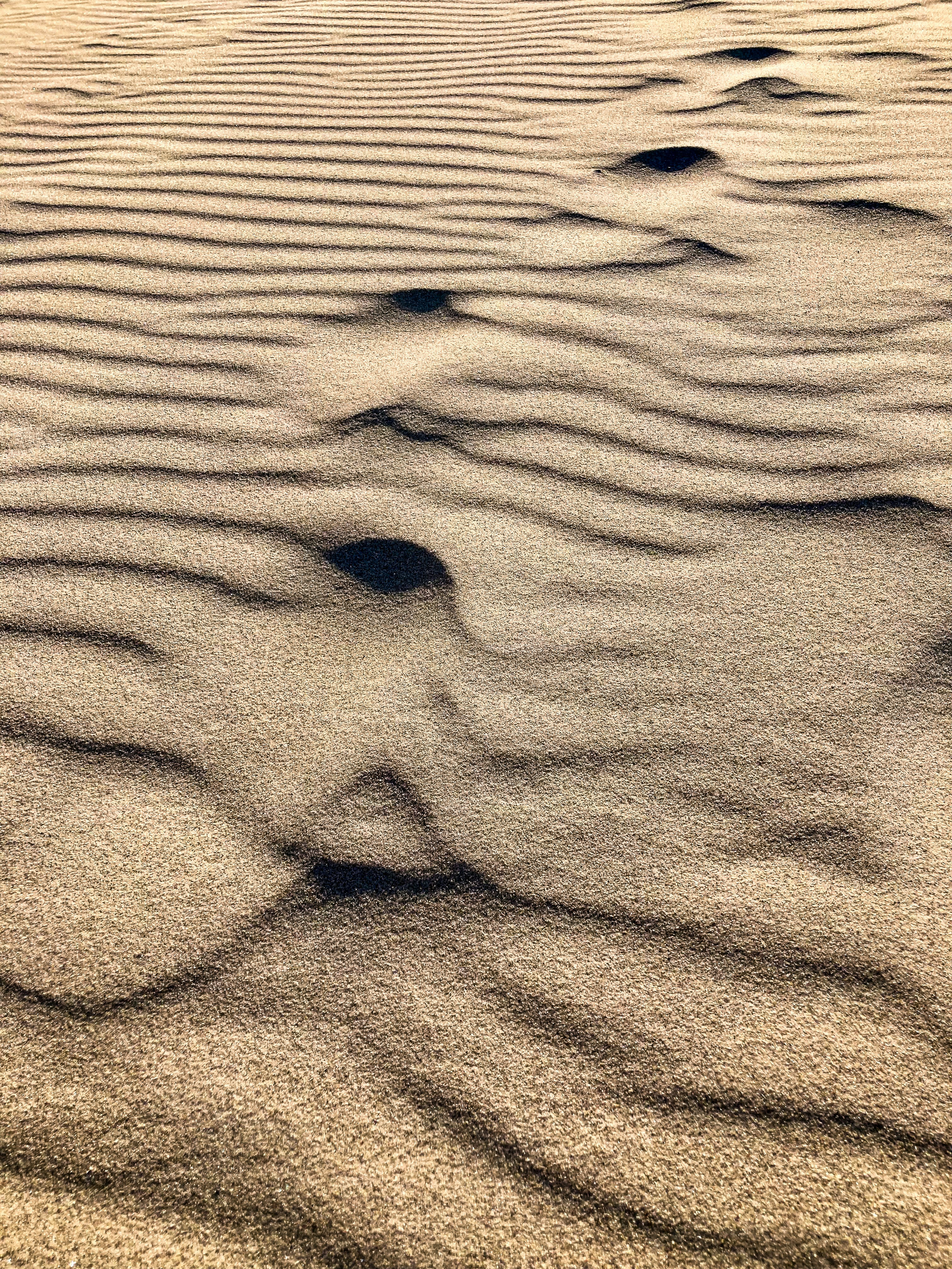 Footprints in rippled sand dunes at sunset