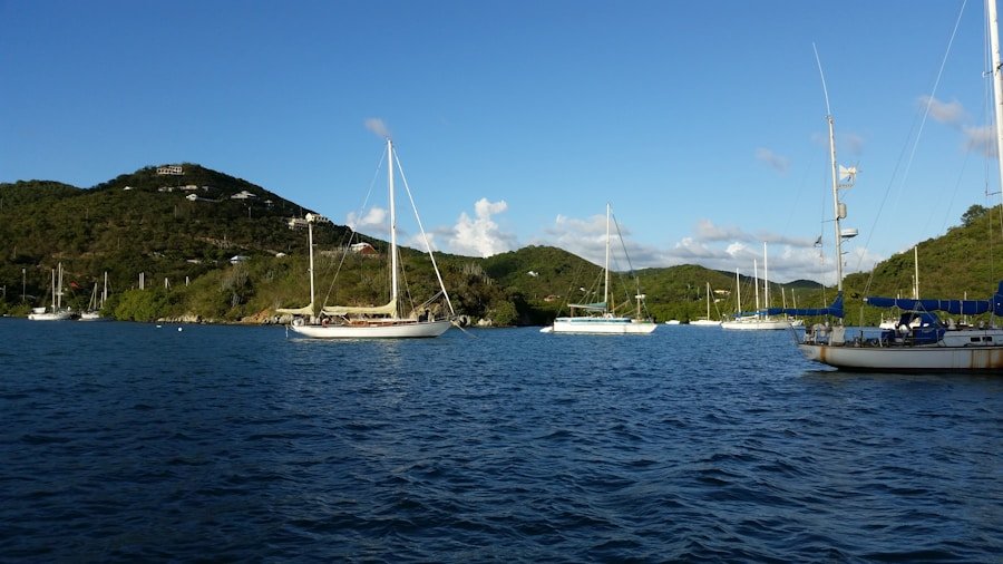 Sailing yachts at anchor in a green Caribbean bay