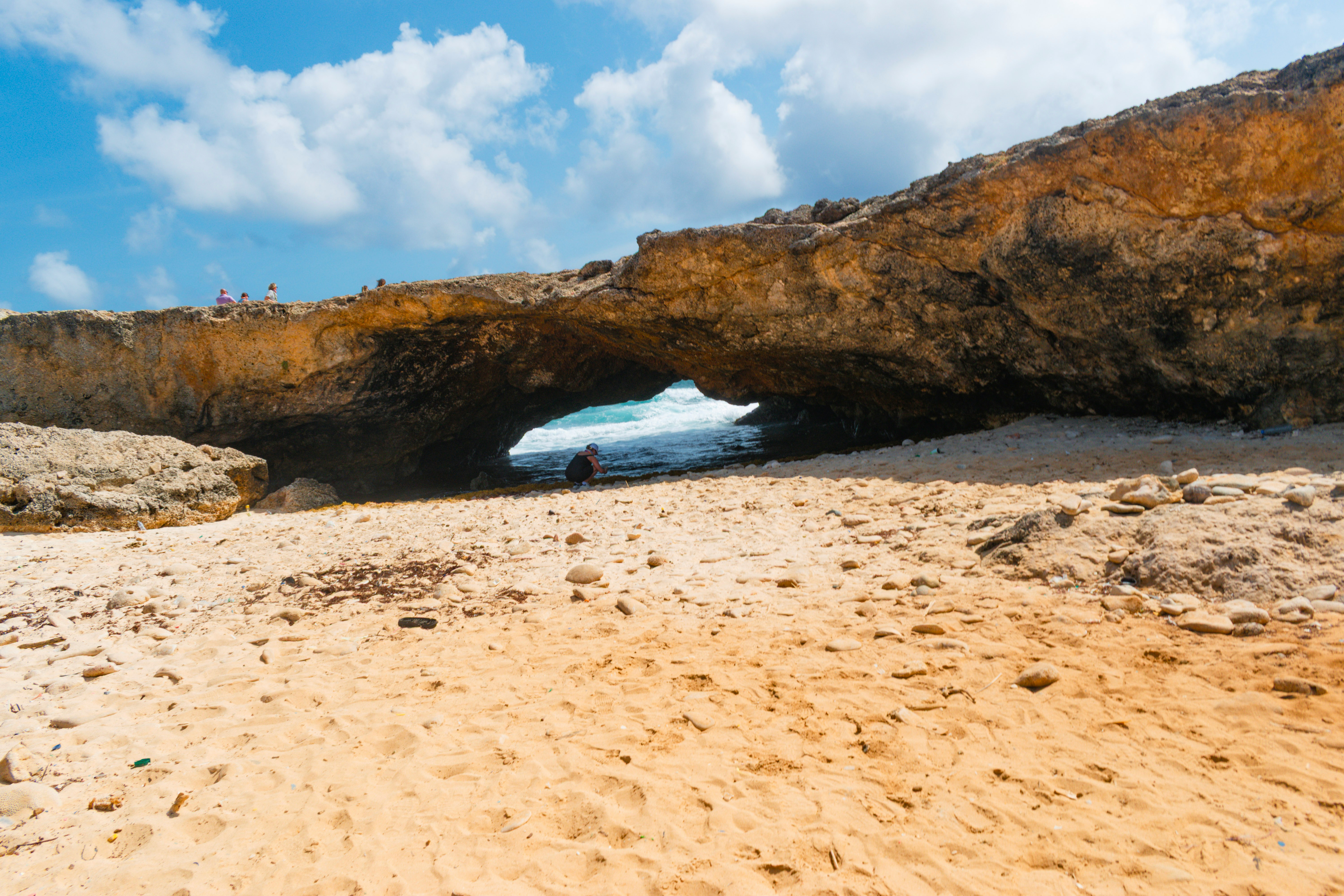 Tropical Beach