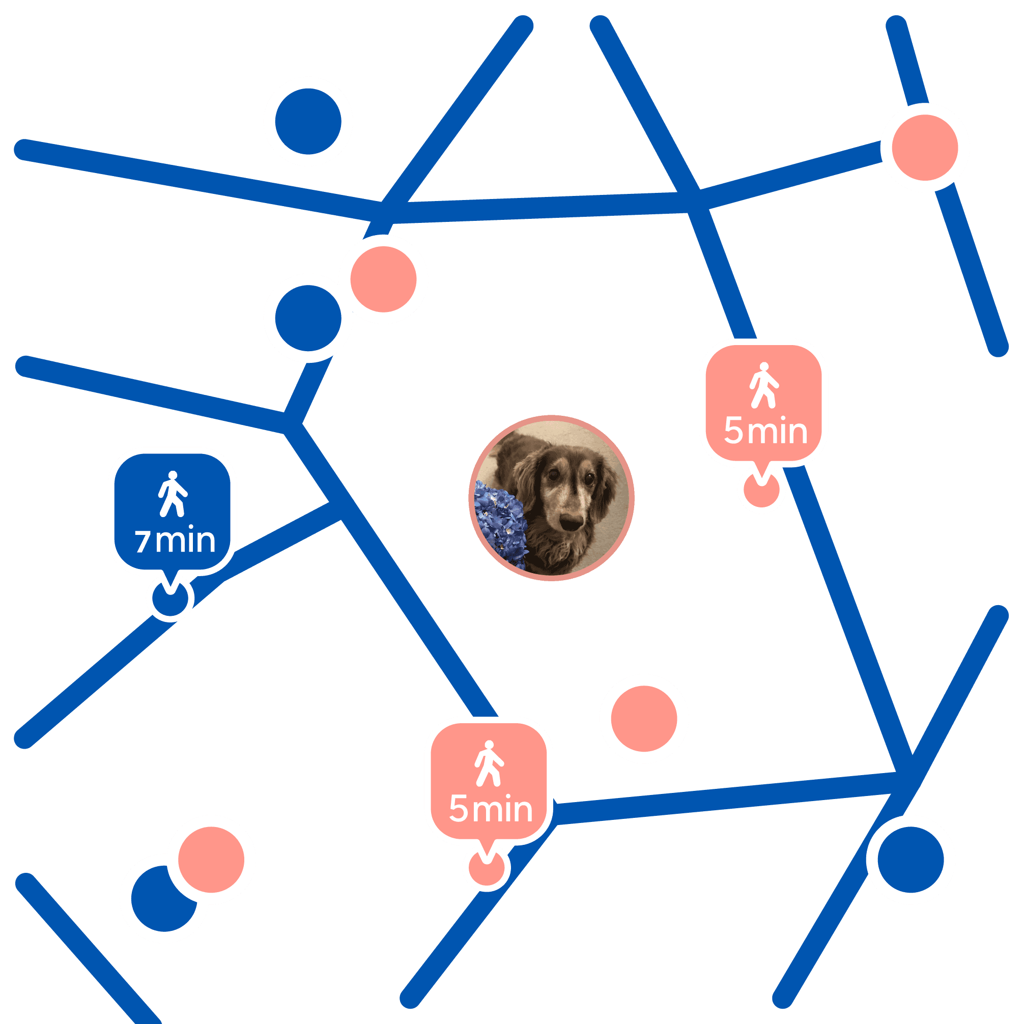 services image
