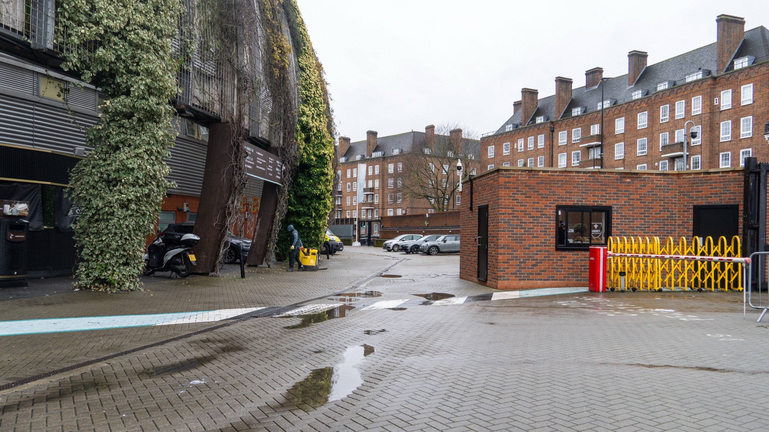Two classic volkswagen beetles, one green, one cream.