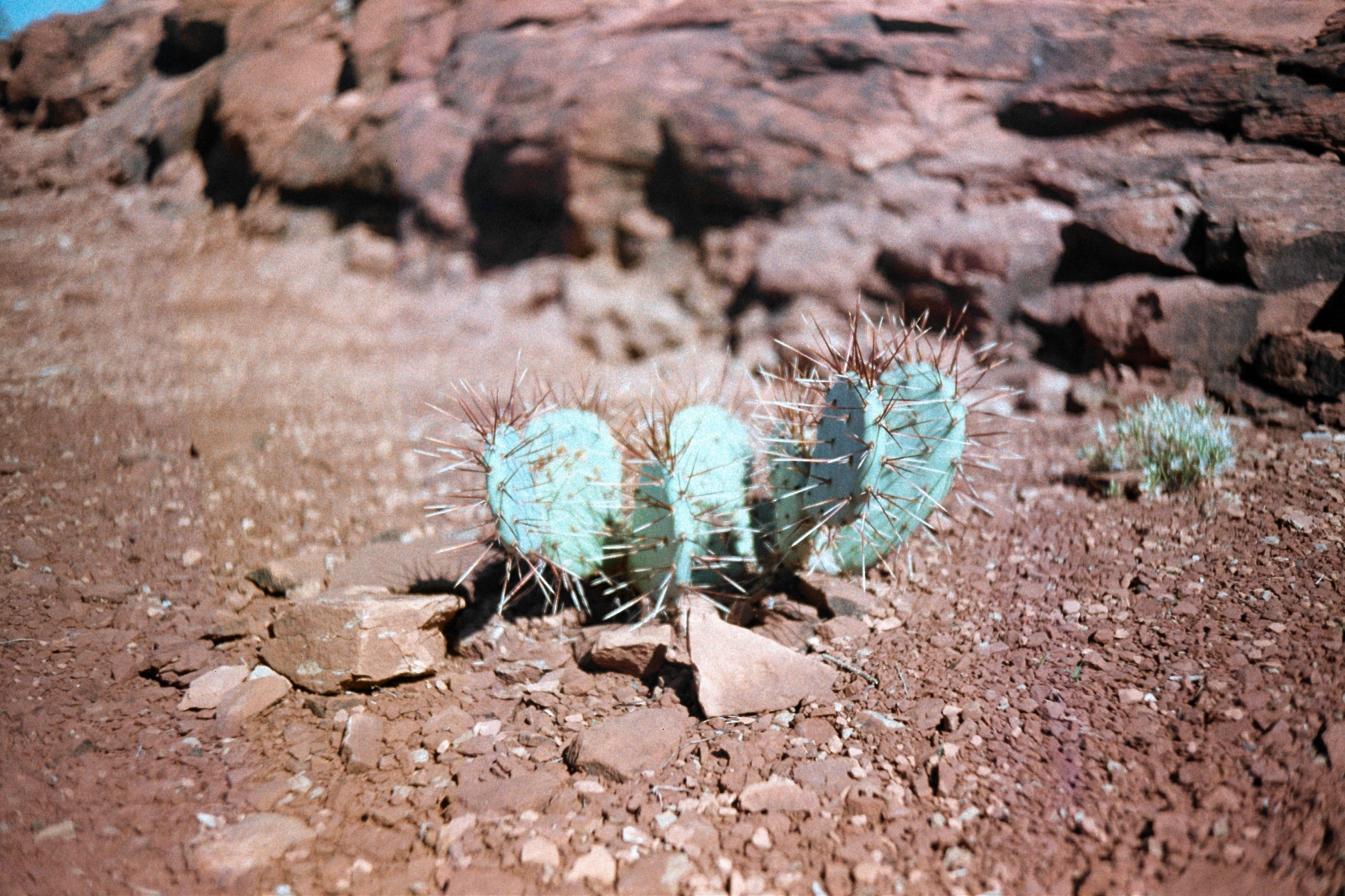 Creative portrait with geometric pink eyewear and bold fashion styling in urban setting