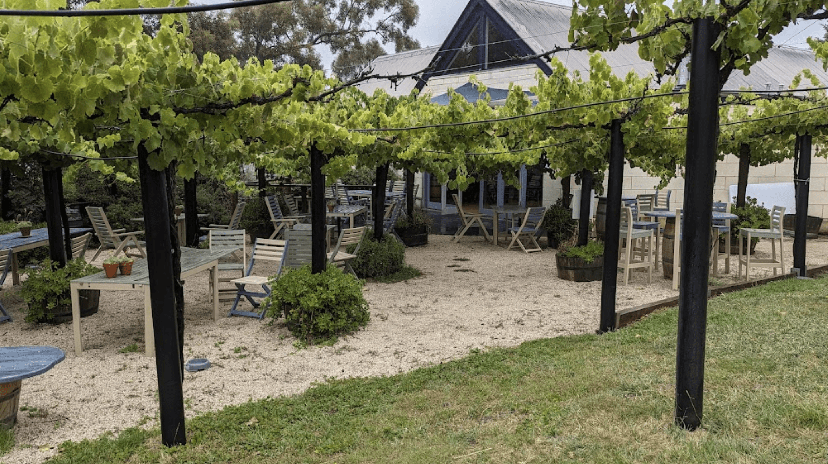 Blue Pyrenees Estate winery