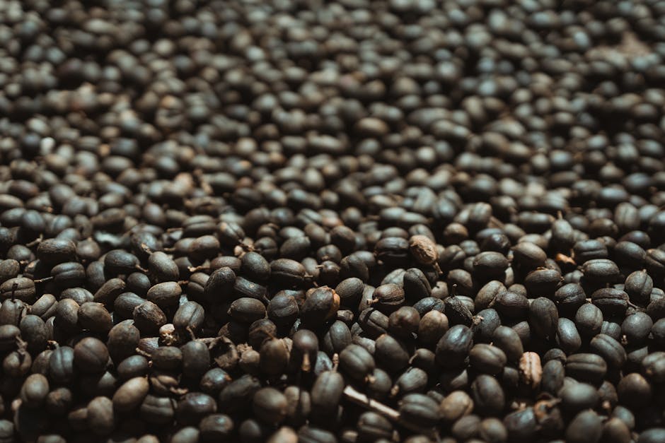 Coffee prices may finally ease. A record Brazil harvest is why.
