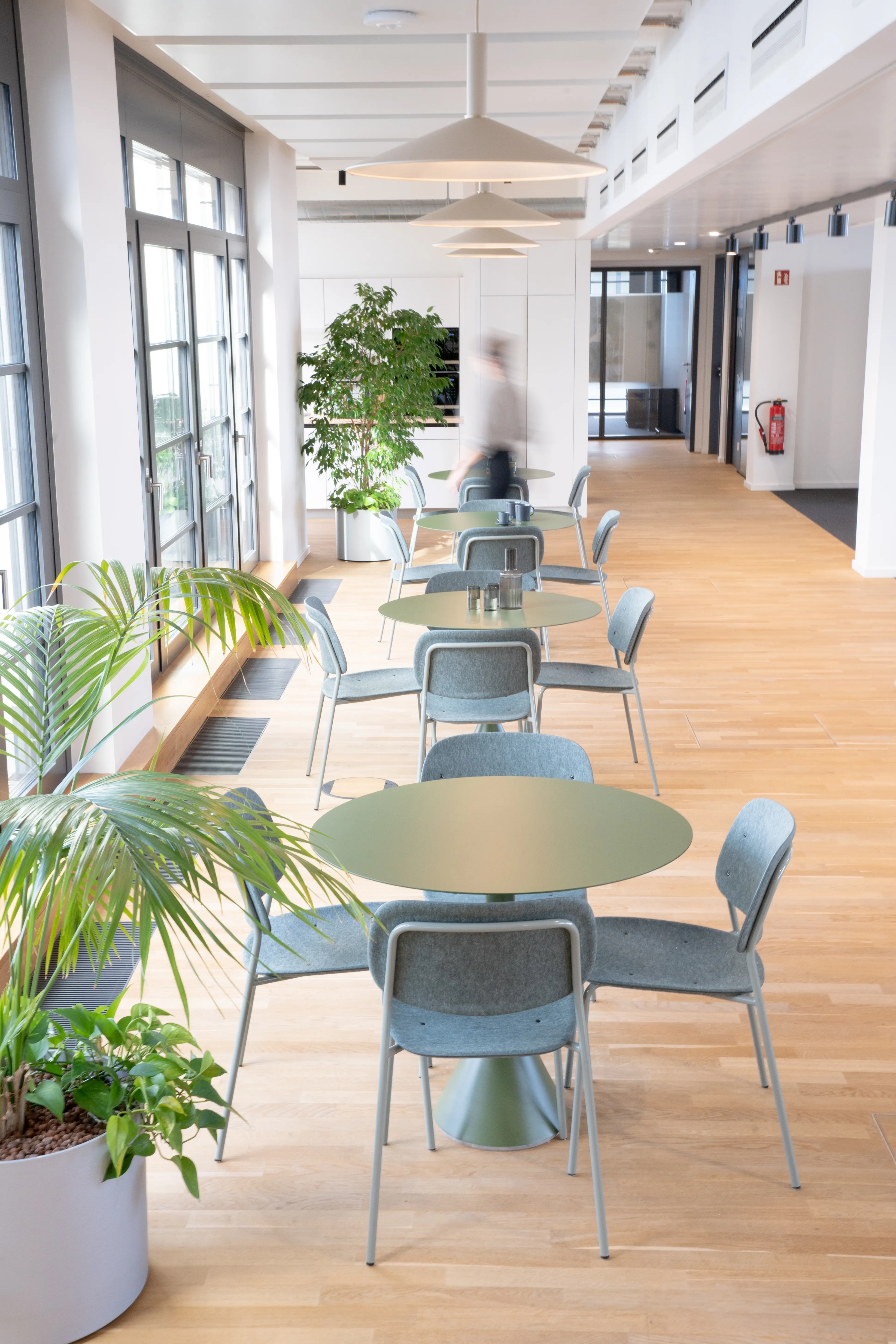 Cafeteria row at AI START-UP MUNICH with olive-green round pedestal tables, sage felt chairs, white pendant lights, indoor trees and a long bright corridor with oak flooring.