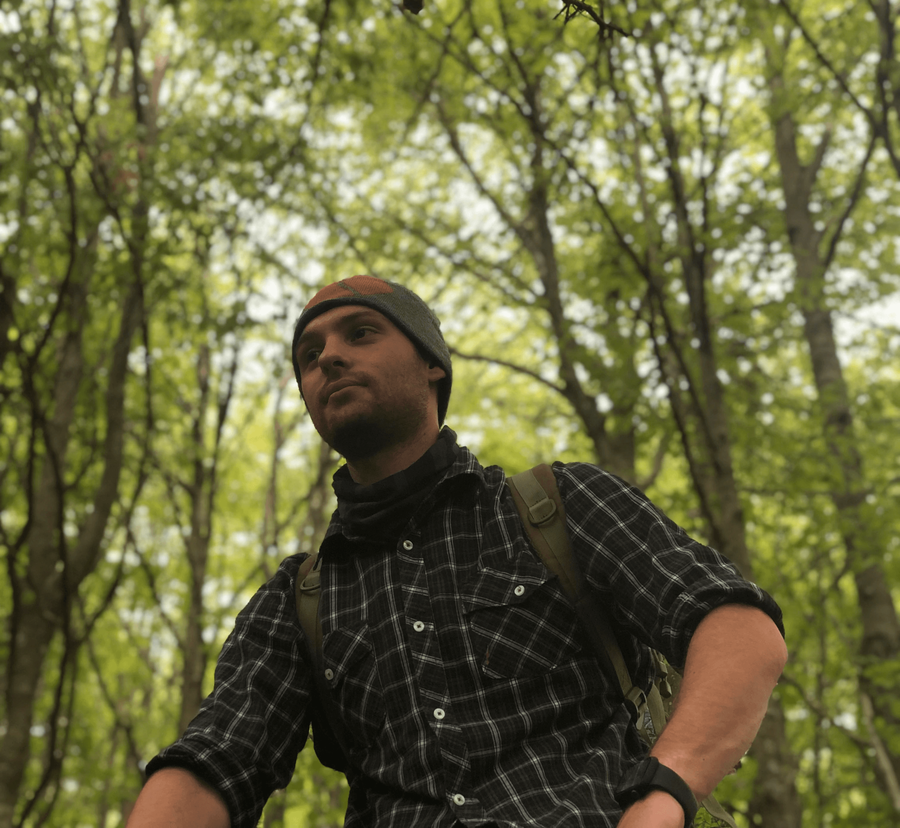 Foto del designer in un bosco