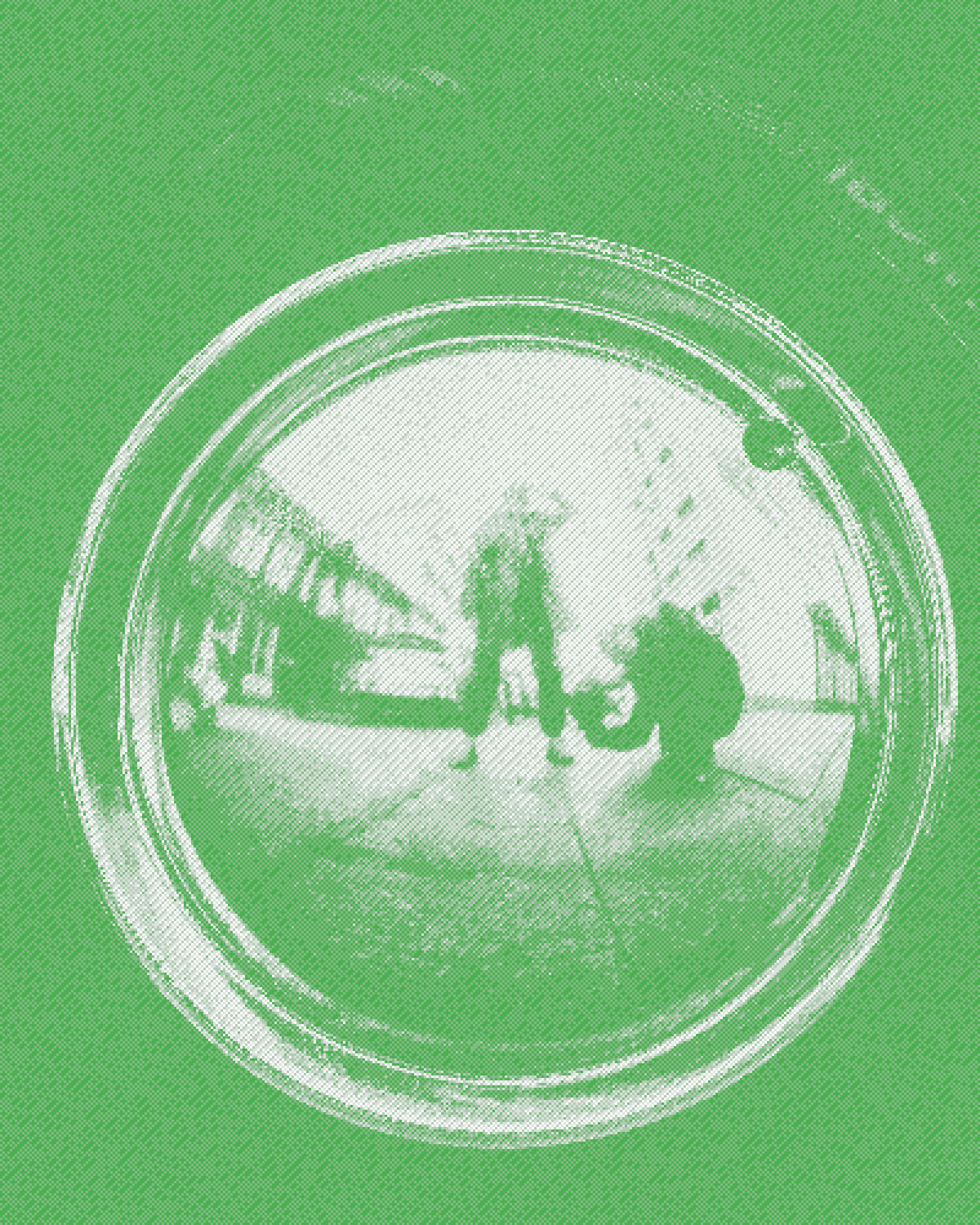 Mudball Studio Content — brand photography, video, and social proof asset production day