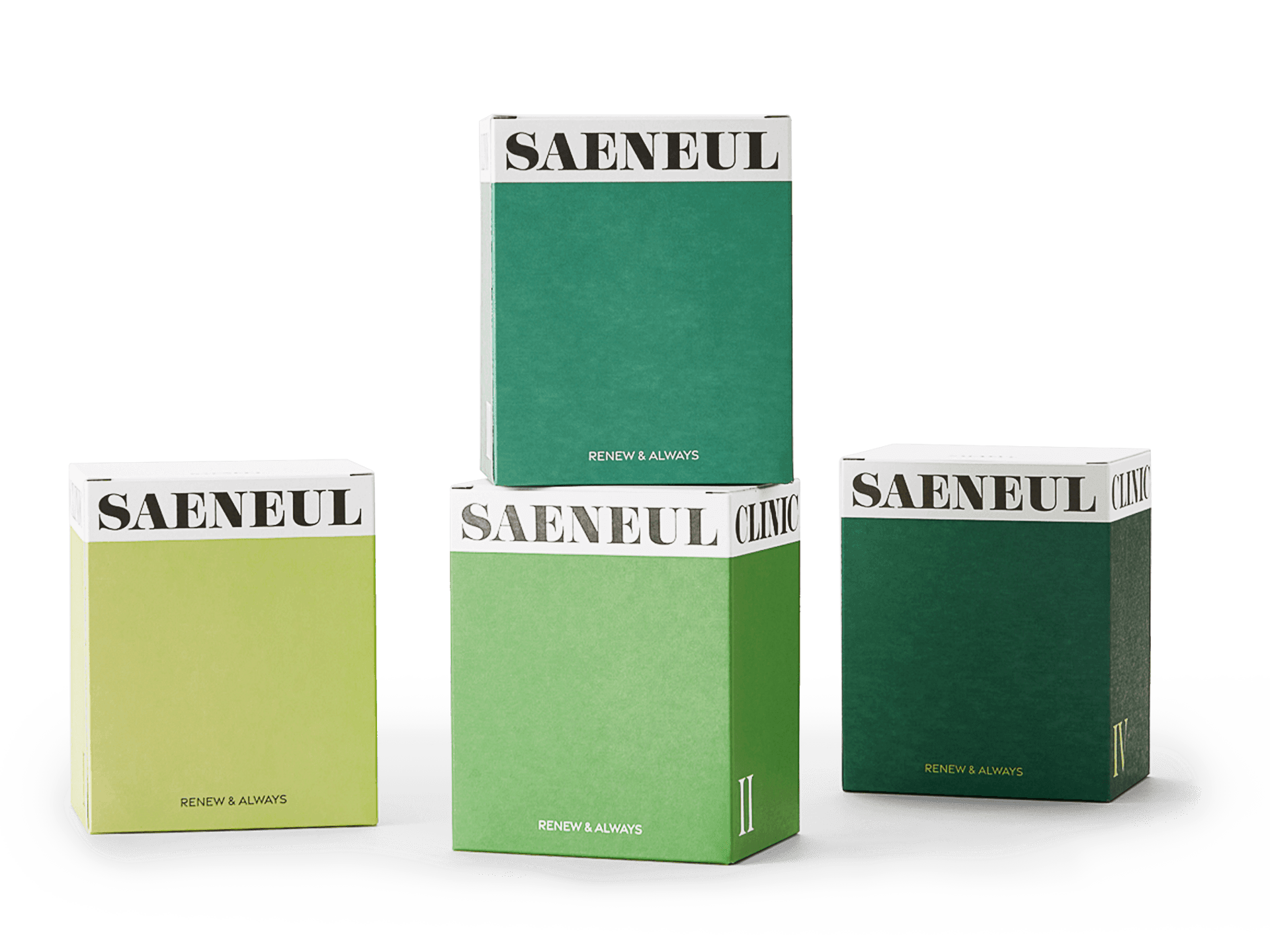 새늘한의원 다이어트